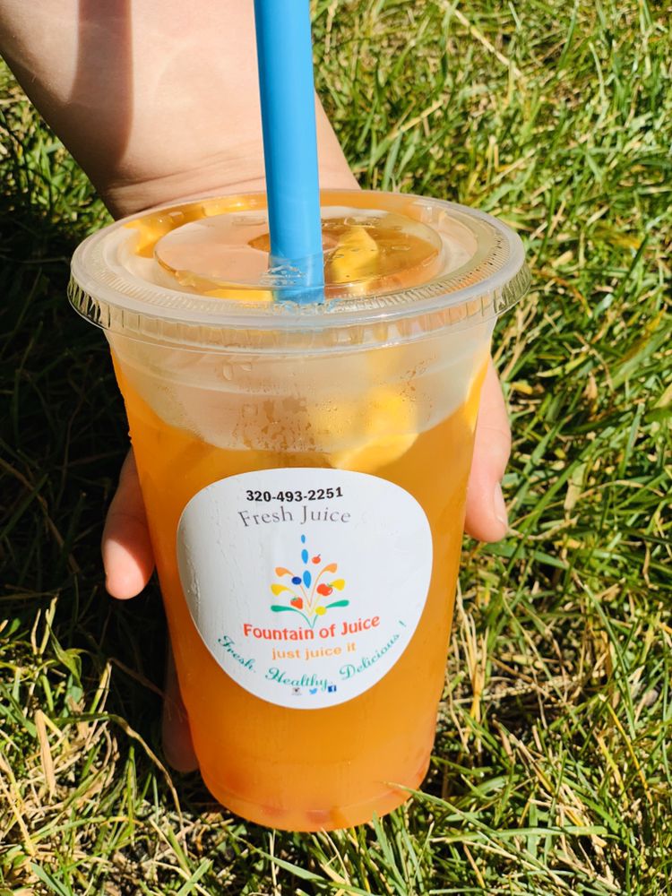 FOUNTAIN OF JUICE Waite Park, Minnesota Juice Bars & Smoothies