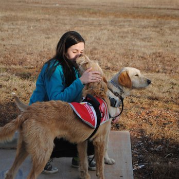 Paw by Paw Dog Training - Pet Training Near Me - Kensington, Maryland Paw by Paw Dog Training - Pet Training Near Me - Kensington, Maryland