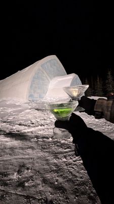 Aurora Ice Museum by null