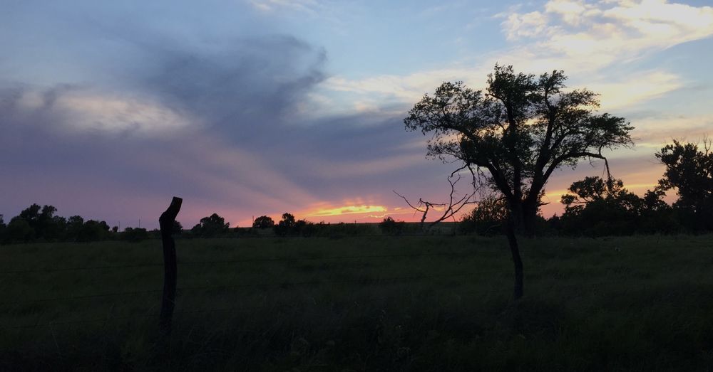 JULIA’S CALENDARS Galva, Kansas Print Media Phone Number Yelp