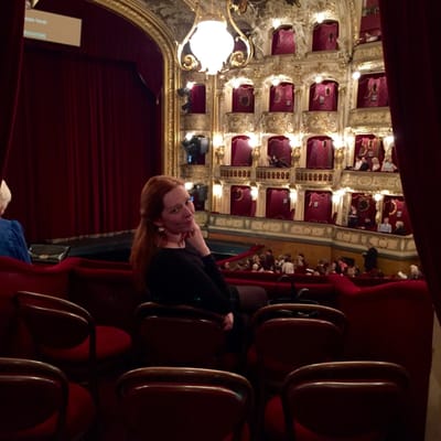 State Opera by null