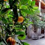 El Colegio Nacional