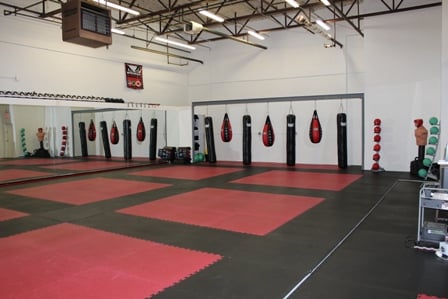 Top Level MMA Training Center Logo