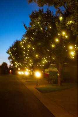 The Vintages Trailer Resort by null