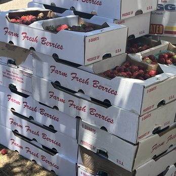 Dondero Orchards - Strawberries - Farmers Market Near Me - Glastonbury, Connecticut Dondero Orchards - Strawberries - Farmers Market Near Me - Glastonbury, Connecticut