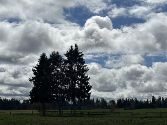 Champoeg State Park by null