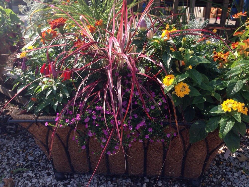 SUNSHINE GROW SHOP Updated August 2024 2891 Richmond Rd, Lexington