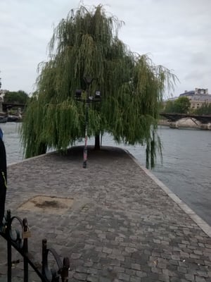 Square du Vert-Galant by null