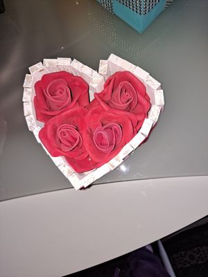 Taci's Beyti by null