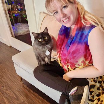 Pounce Cat Cafe - Pet Adoption Near Me - Charleston, South Carolina