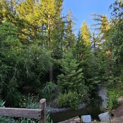 Redwood Grove Nature Preserve