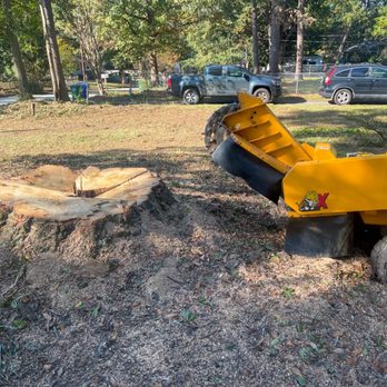 Summit Stump Grinding - Stump Removal in Decatur, GA. - Tree Services Near Me Summit Stump Grinding - Stump Removal in Decatur, GA. - Tree Services Near Me