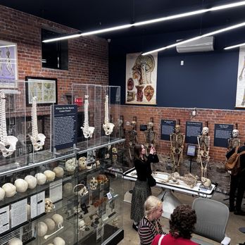 THE BONE MUSEUM - Updated January 2026 - 50 Photos & 23 Reviews - 255