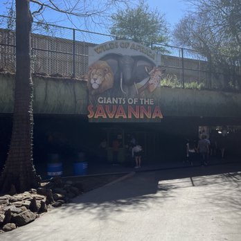 Dallas Zoo - Zoos Near Me - Dallas, Texas Dallas Zoo - Zoos Near Me - Dallas, Texas