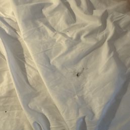 DIRTY SHEETS! DIRTY SHEETS!