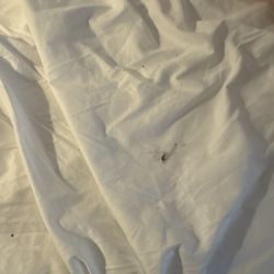 Villa Dubois - DIRTY SHEETS!
