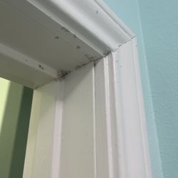 Island Hotel - Mold