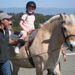 Cadence Therapy - Occupational Therapy session incorporating Hippotherapy