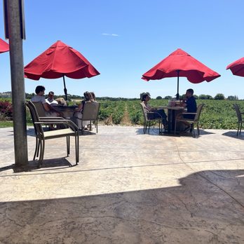 Andis Winery - The view from our Lounge area - Wineries Near Me - Plymouth, California