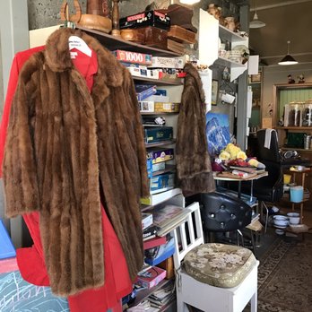 Primo And Secundo - They even have fur coats! - Cafes Near Me - Methven, CAN Primo And Secundo - They even have fur coats! - Cafes Near Me - Methven, CAN