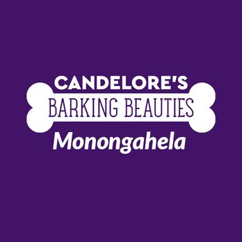 Candelore's Barking Beauties - Pet Groomers Near Me - Monongahela, Pennsylvania Candelore's Barking Beauties - Pet Groomers Near Me - Monongahela, Pennsylvania