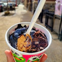sweetFrog Premium Frozen Yogurt - My Creation!