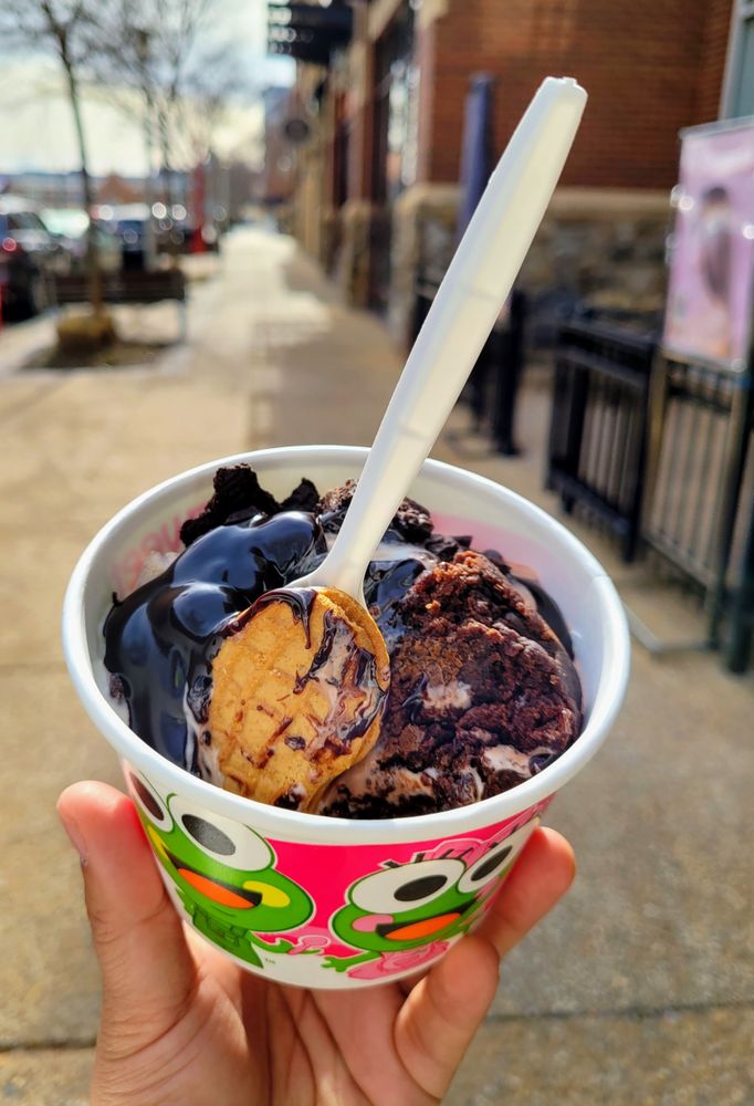 SWEETFROG PREMIUM FROZEN YOGURT Updated October 2024 27 Photos & 43