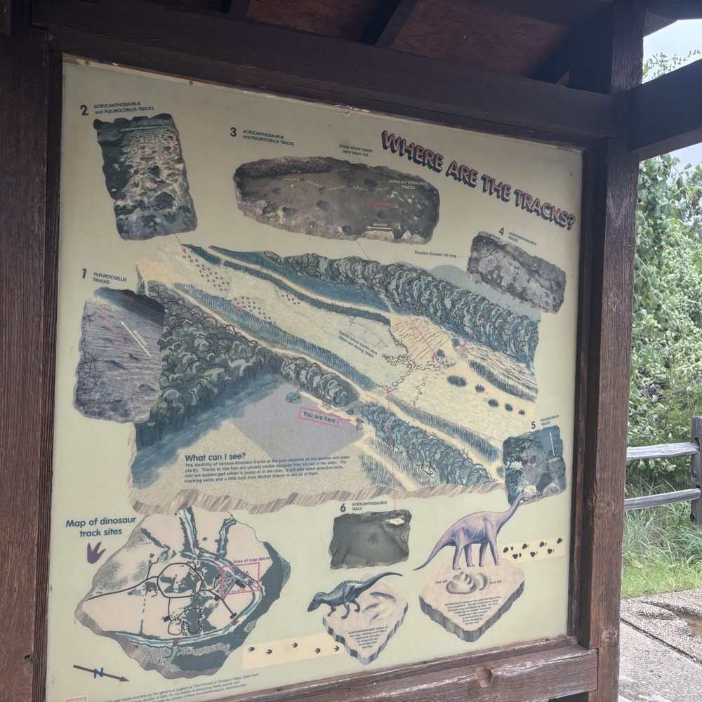 Dinosaur Valley State Park - Parks Near Me - Glen Rose, Texas