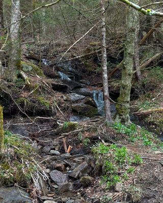 Waterrock Knob by null