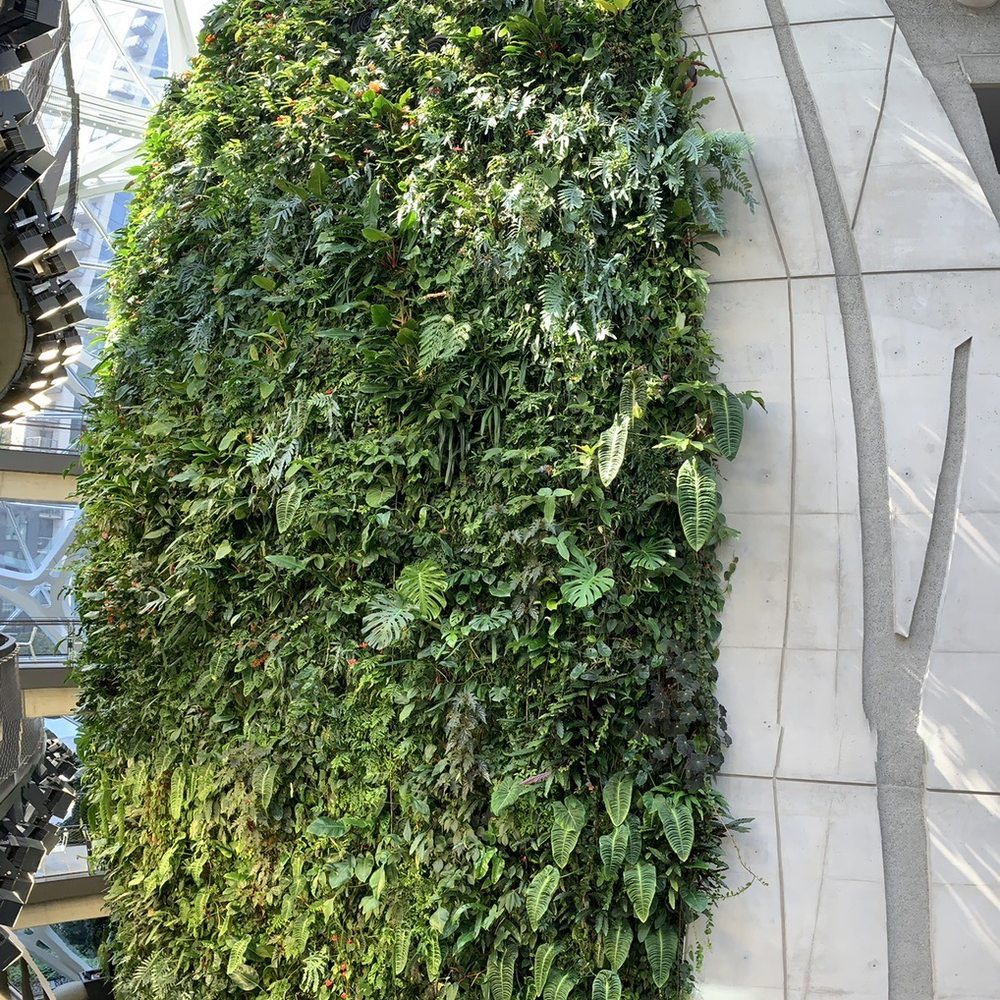 Amazon Spheres - Botanical Gardens Near Me - Seattle, Washington Amazon Spheres - Botanical Gardens Near Me - Seattle, Washington