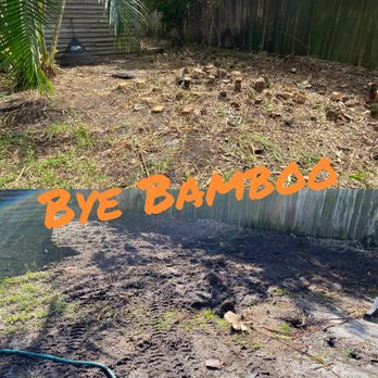 Starrett Stump Grinding - a yard with a hole in the ground - Tree Services Near Me - Indian Harbour Beach, Florida