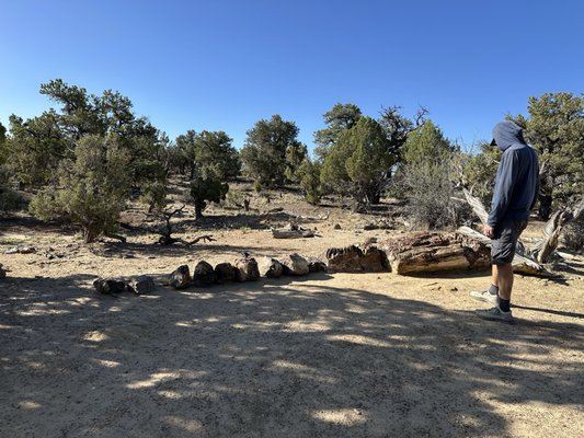Escalante Petrified Forest State Park by null