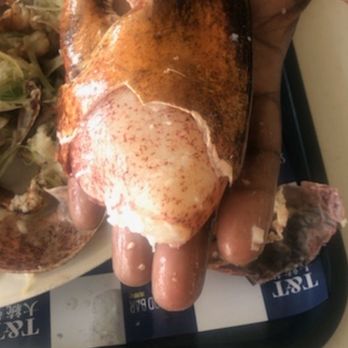 T&T Supermarket - The claw from my 4lb lobster. - International Grocery Near Me - Waterloo, Ontario T&T Supermarket - The claw from my 4lb lobster. - International Grocery Near Me - Waterloo, Ontario
