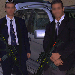 Falcon, Professional Security and Training