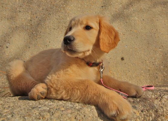 The Forks National Historic Site by null