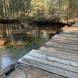 Batona Trail - Martha's Bridge