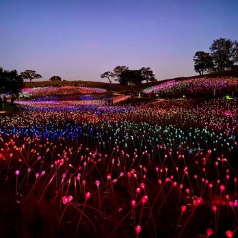 Sensorio - Field of Lights - Art Galleries Near Me - Paso Robles, California Sensorio - Field of Lights - Art Galleries Near Me - Paso Robles, California