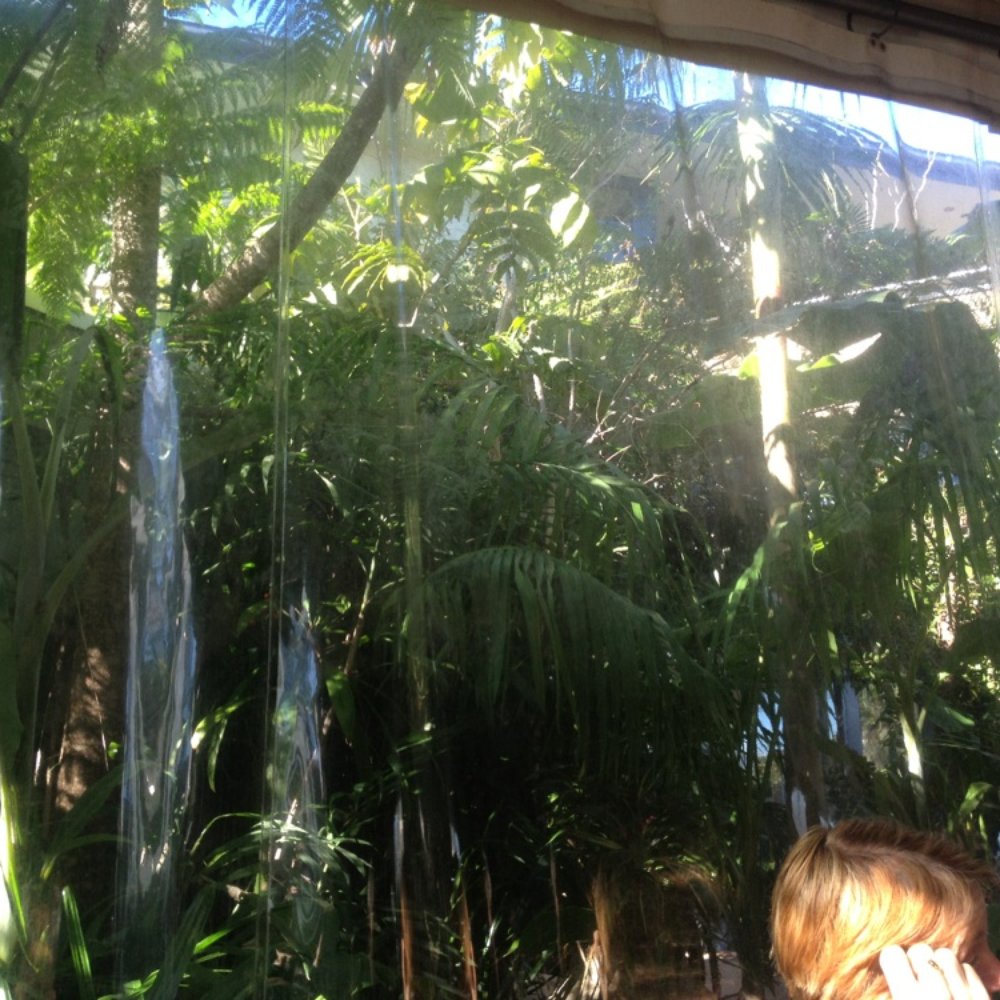 The Fat Goose Cafe & Bakery - Little sunny oasis when sitting inside. - Restaurants Near Me - Killcare, NSW The Fat Goose Cafe & Bakery - Little sunny oasis when sitting inside. - Restaurants Near Me - Killcare, NSW