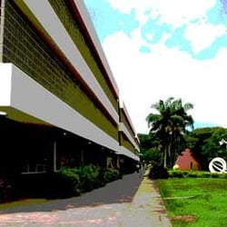 USP - Universidade de São Paulo