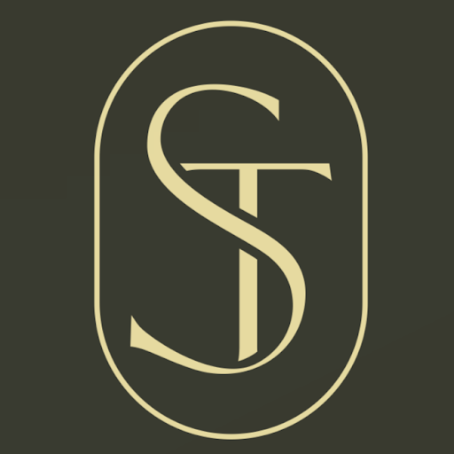 Skin Theory Aesthetics Logo