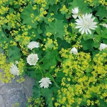 Rombergpark - Parks Near Me - Dortmund, NW