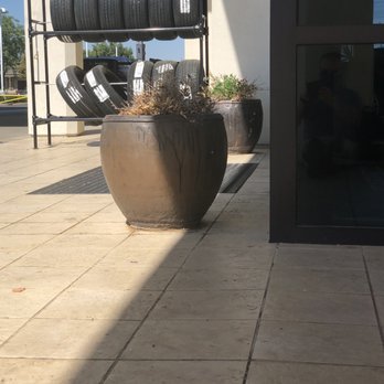 Valley Lexus - If you care for my vehicle like you care for your plants, yikes. - Car Dealers Near Me - Modesto, California