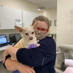 Our Malla getting tender loving care from VDS! Our Malla getting tender loving care from VDS!