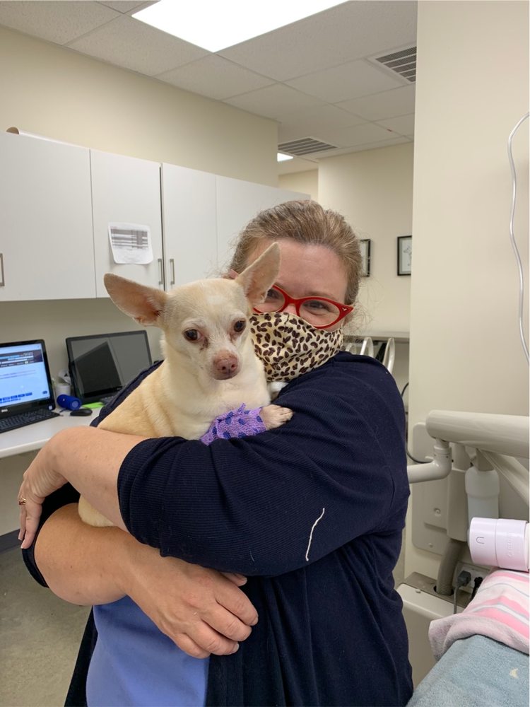 VETERINARY DENTISTRY SPECIALISTS Updated August 2024 19 Photos & 18