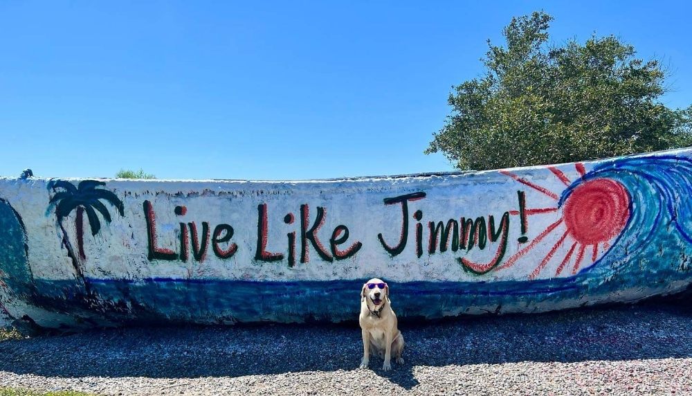 BARK BUSTERS HOME DOG TRAINING CHARLESTON Updated September 2024