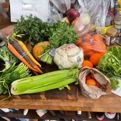 Greenhearts Family Farm - Sample of the boxes we have gotten over the seasons