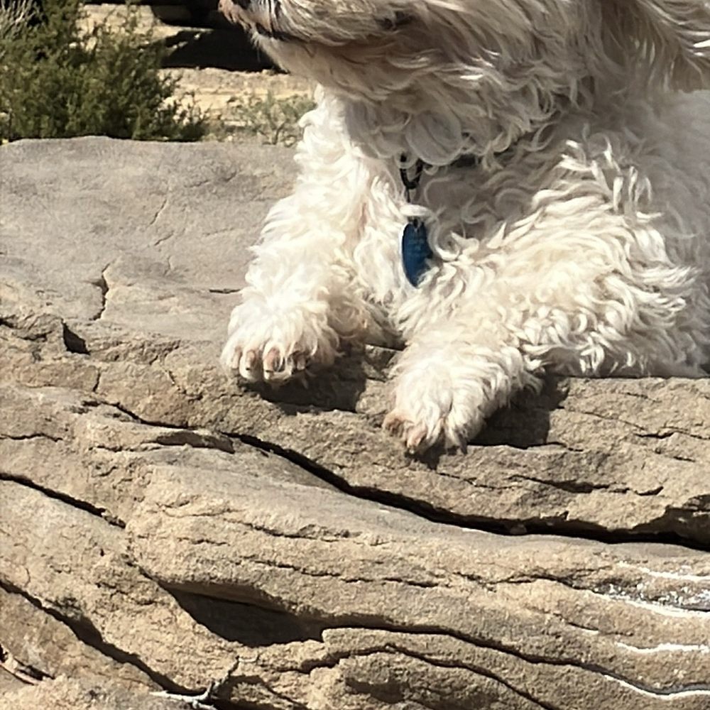 Simpson's Rest - Wind - Hiking Near Me - Trinidad, Colorado