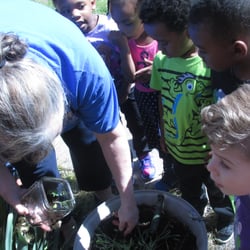 Colonial Day School - Our 3 Year Old Class - Planting their carrots :)