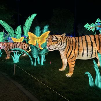 Tianyu Lights Festival - Lights - Festivals Near Me - Phoenix, Arizona Tianyu Lights Festival - Lights - Festivals Near Me - Phoenix, Arizona