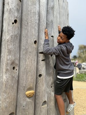 Presidio Tunnel Tops by null